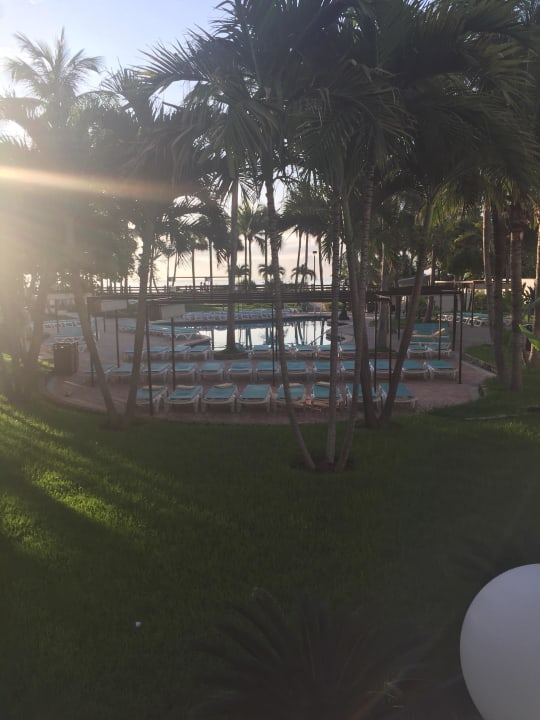 Pool/Gartenanlage Hotel Riu Plaza Miami Beach