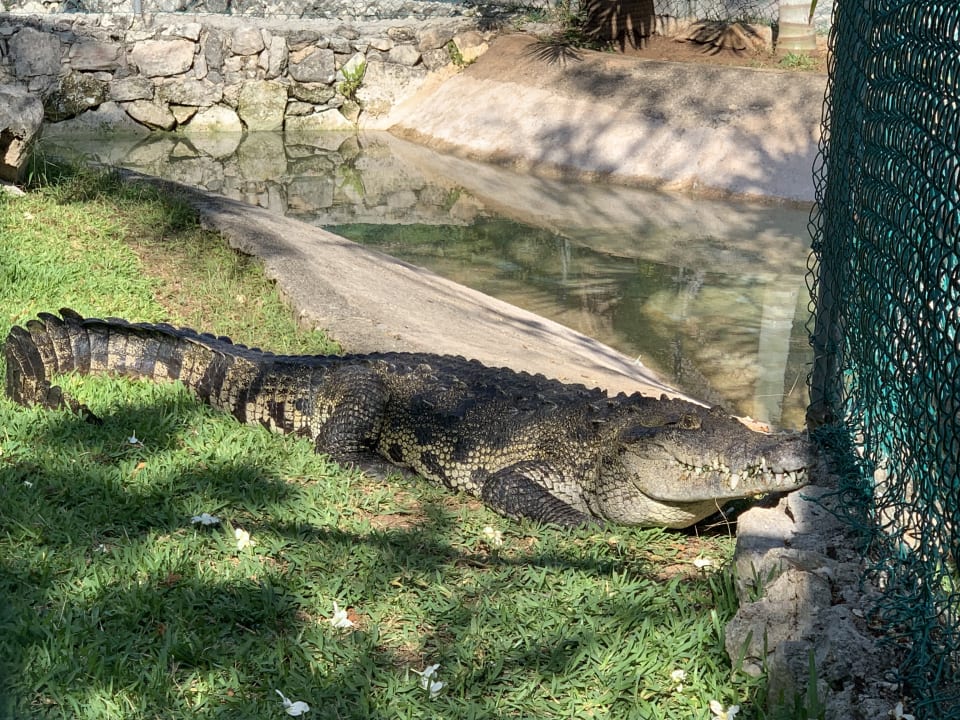 Gartenanlage Grand Palladium Kantenah Resort & Spa