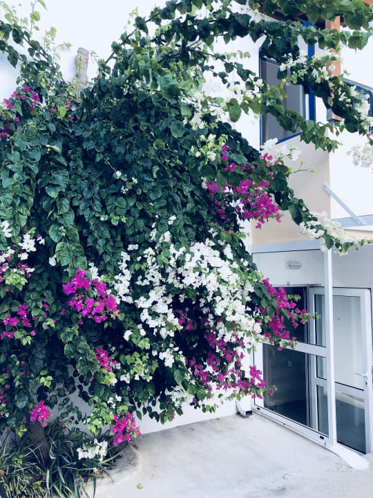 Sonstiges Hotel Kathrin Beach