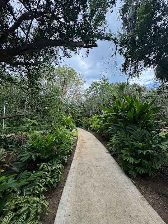 Gartenanlage Iberostar Waves Paraiso del Mar