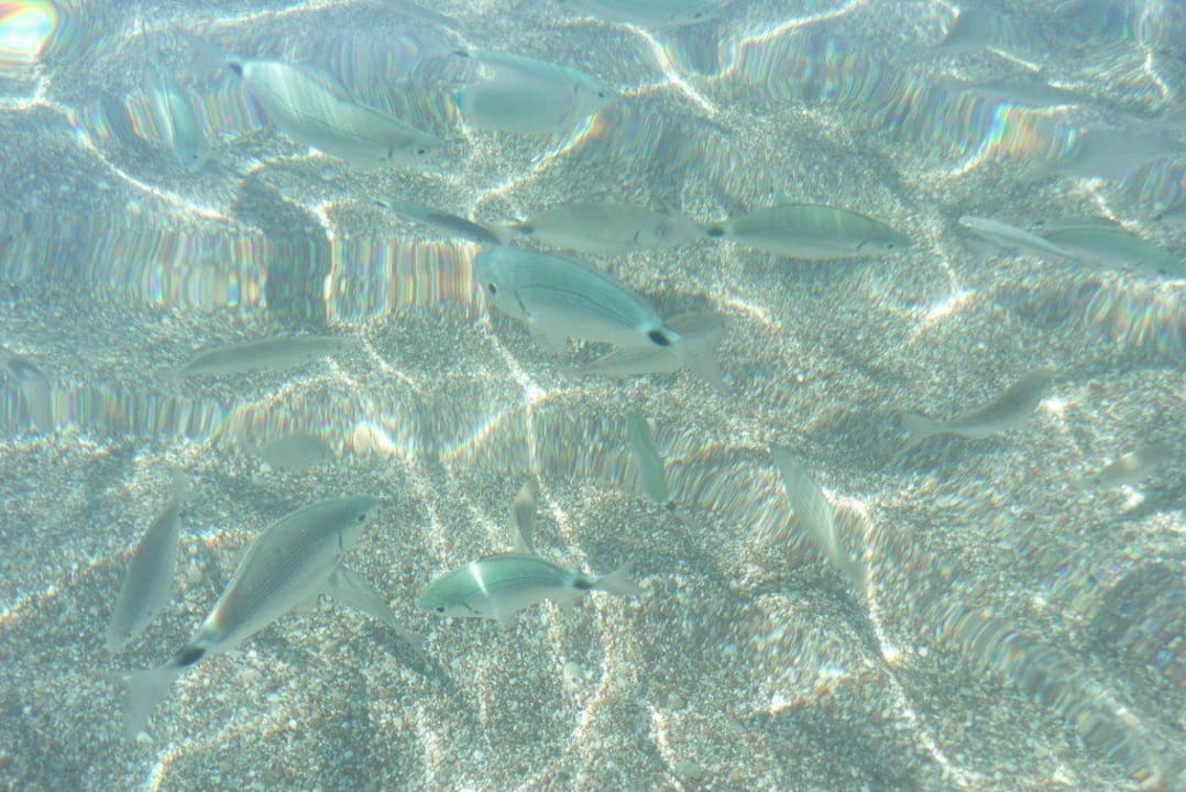 Klares Wasser am Strand Rodos Princess Beach Hotel & Spa