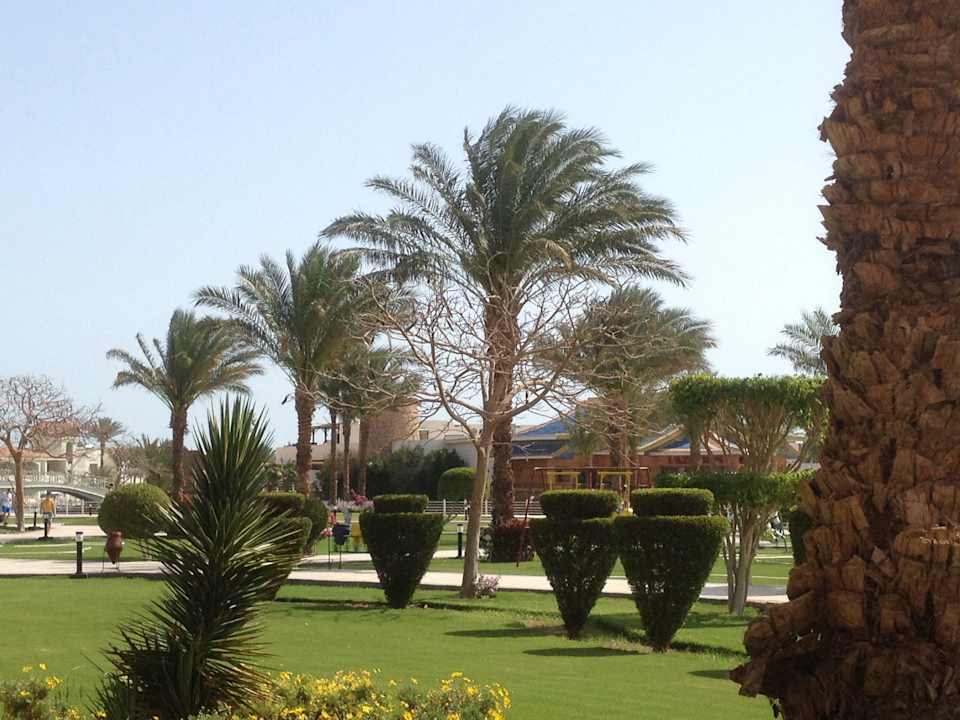 Gartenansicht vom Zimmer Pickalbatros Dana Beach Resort - Hurghada