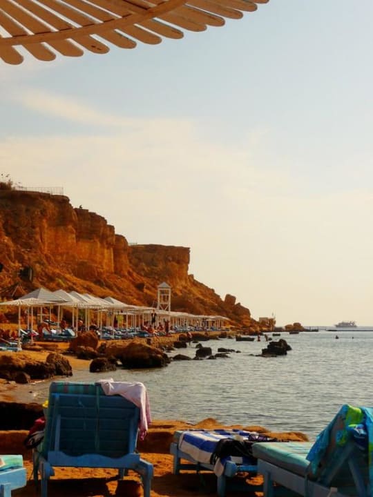 Hotelstrand des Beach Albatros Sharm Albatros Sharm Resort