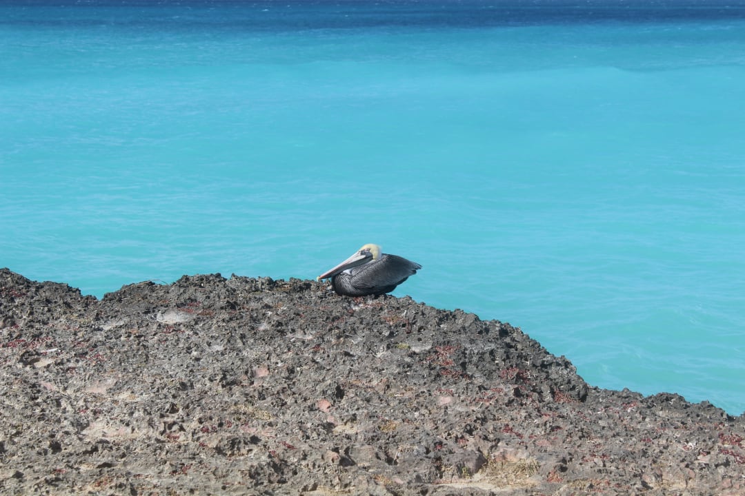 Strand Sirenis Tropical Varadero