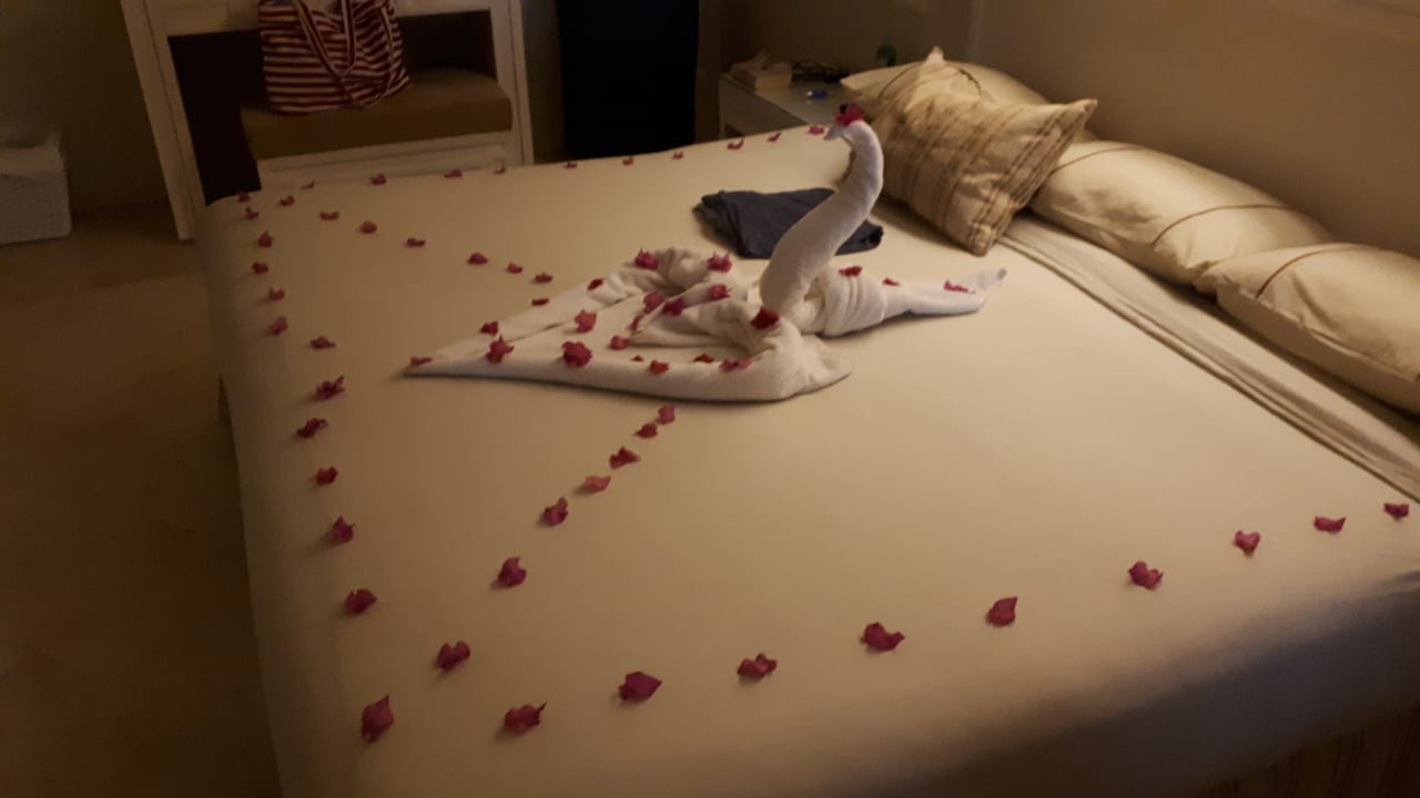 Zimmer Makadi Spa - Adults only