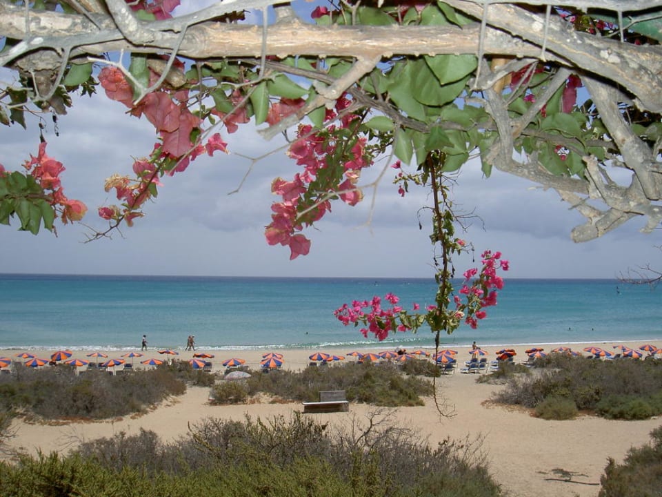 Strand von der Strandbar gesehen SBH Hotel Taro Beach