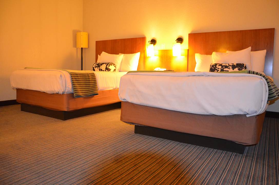 Zwei King Size Betten Hotel La Quinta Inn and Suites Raleigh Crabtree