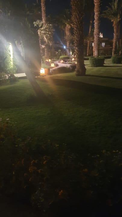 Gartenanlage Lotus Bay Beach Resort