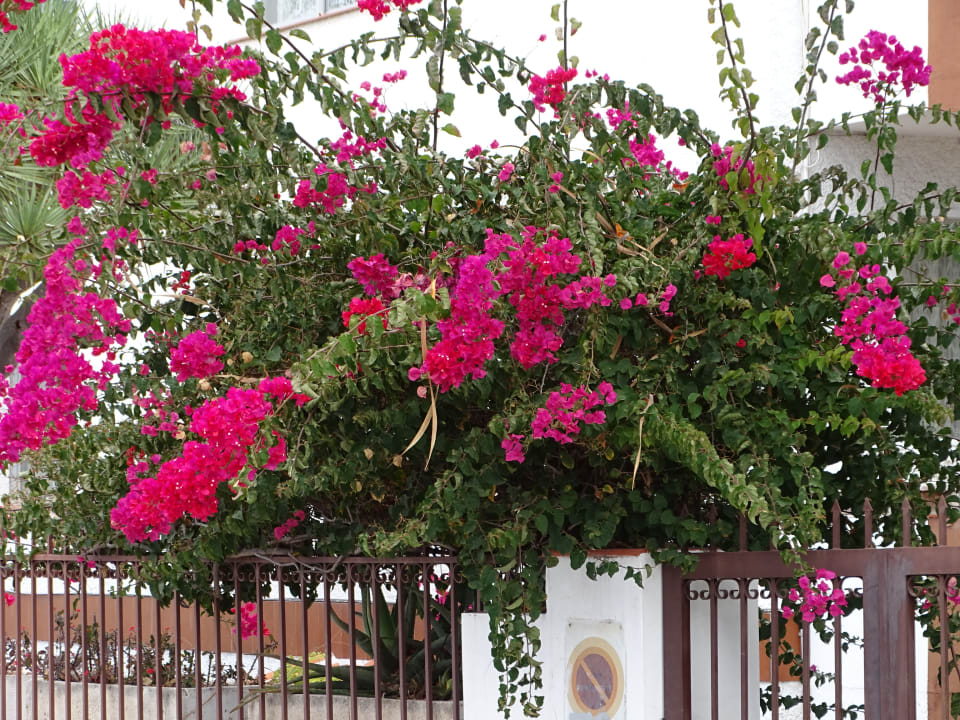 Sonstiges Atlantic Mirage Suites & Spa - Adults only