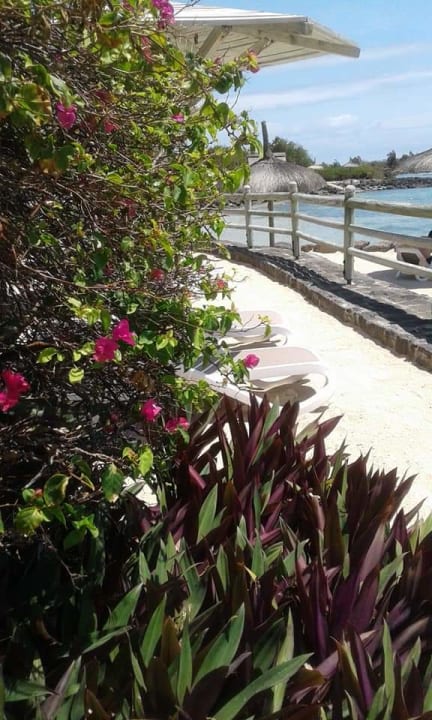 Strand Lagoon Attitude - Adults only