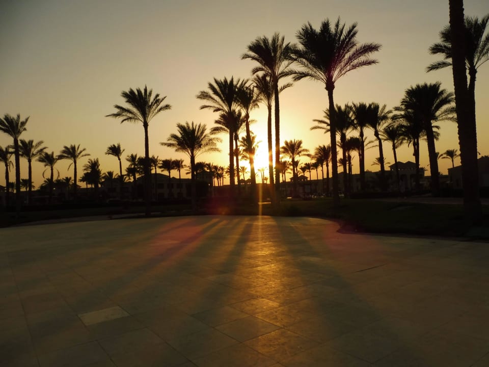 Wunderschöner Sonnenuntergang Cleopatra Luxury Resort Makadi Bay