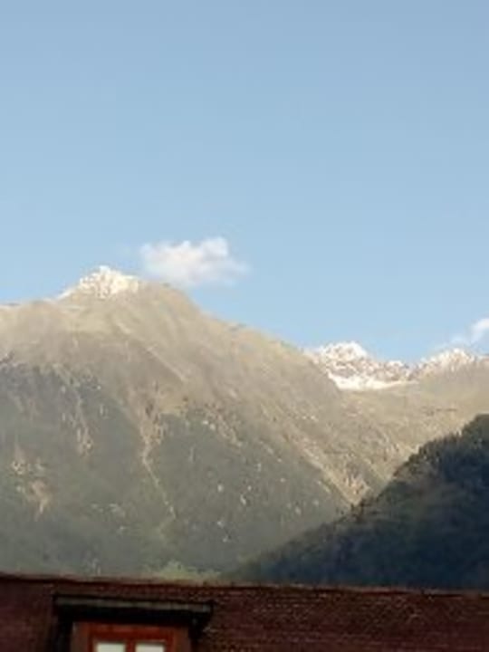 Ausblick Palmengarten Hotel Gstör
