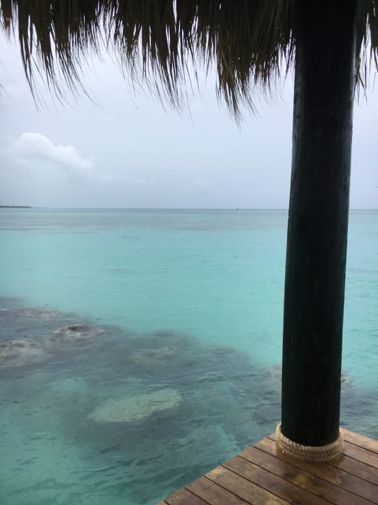 Strand Dreams Dominicus La Romana