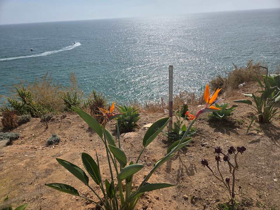 Ausblick AP Victoria Sports & Beach