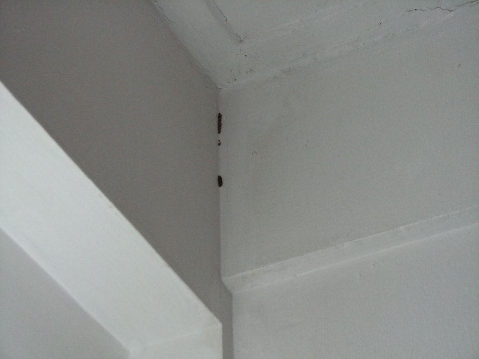 Zimmer. Basaya Beach Hotel & Resort