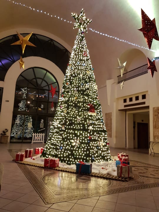 Ausblick Hotel Djerba Resort