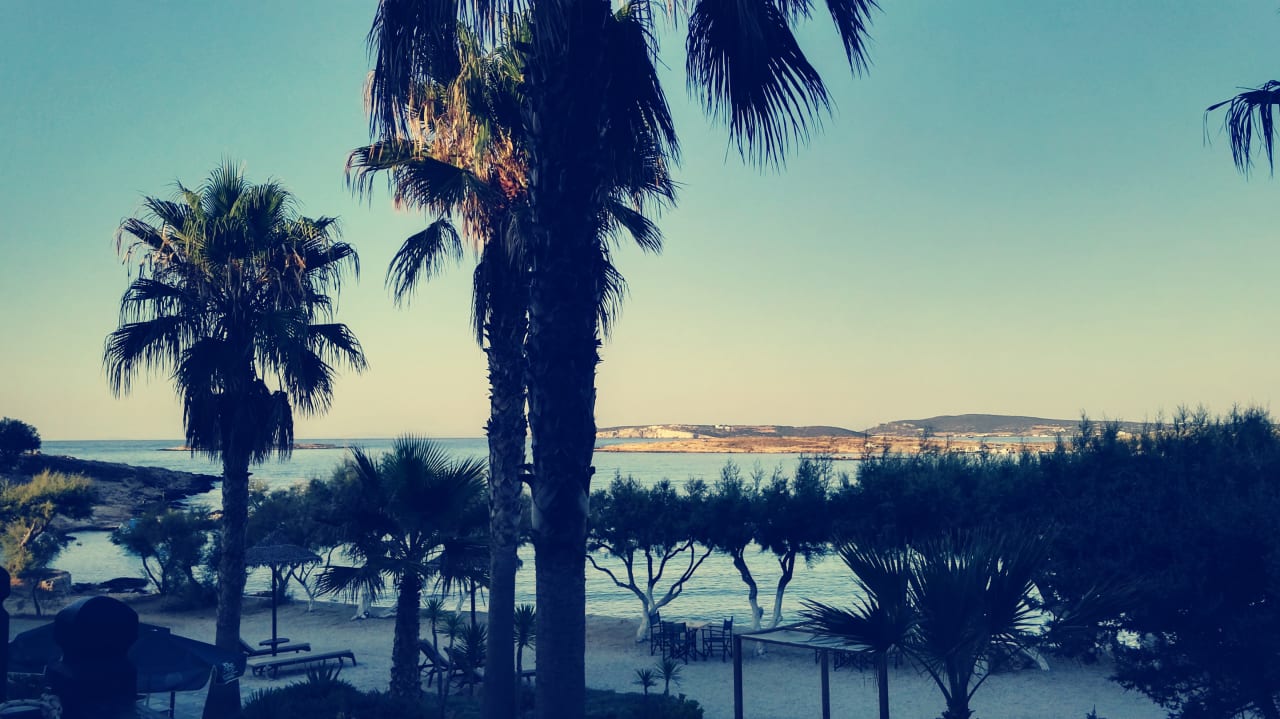 Ausblick Kalypso Hotel