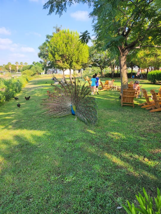 Gartenanlage Diamond Excellence Resort & Spa