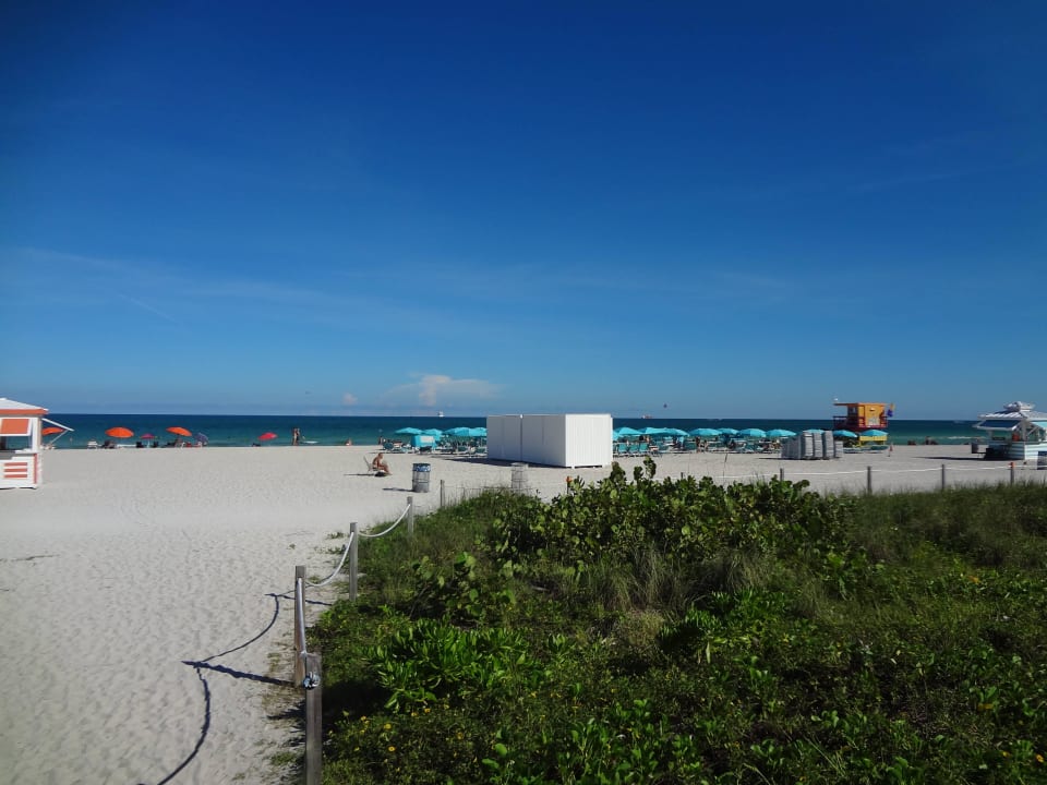 Strand direkt am Hotel Hotel Riu Plaza Miami Beach