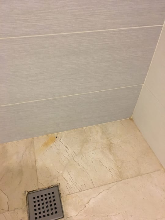 Zimmer Hotel Riu Republica - Adults only