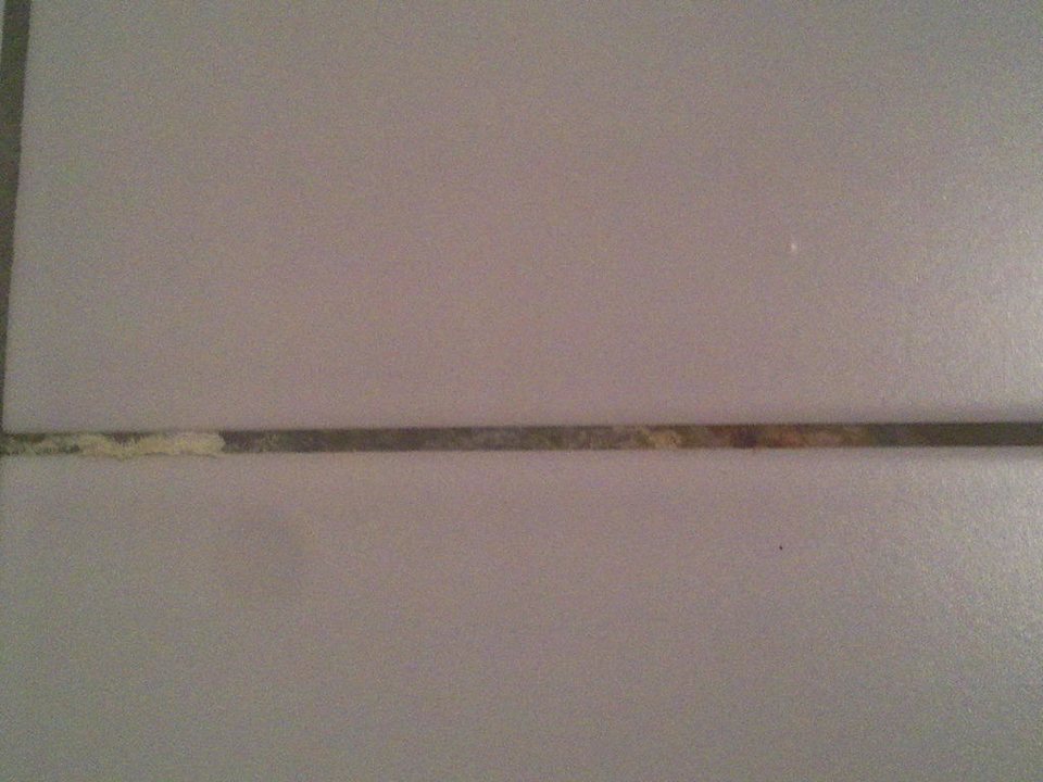 Schimmelige Fuge Hotel Asia