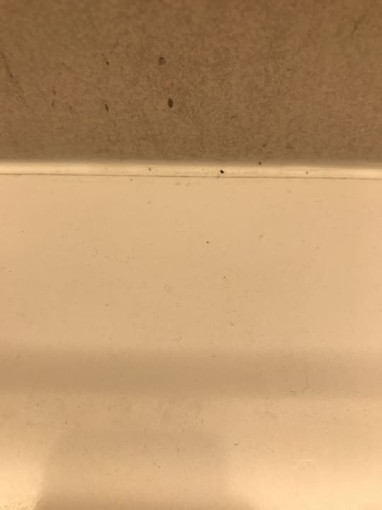 Zimmer Hipotels Gran Playa De Palma