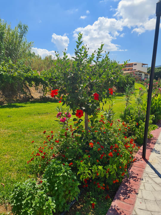 Gartenanlage Myrina Beach Hotel