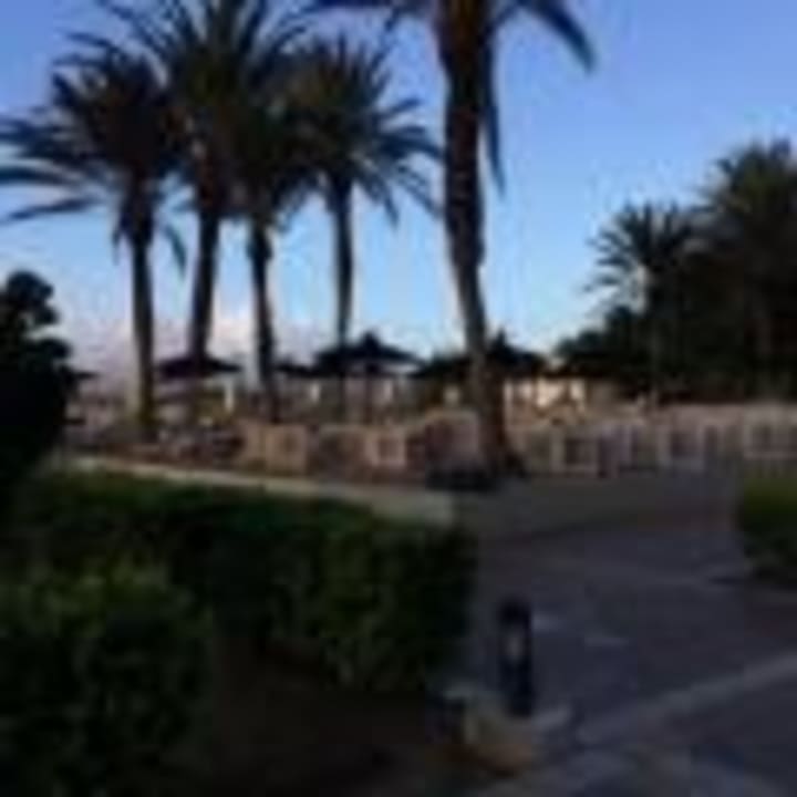 Seperater Bereich mit Sand Hotel Riu Oliva Beach - Hotel