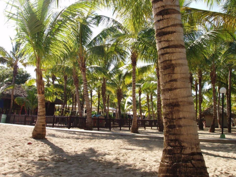 am Strand Playabachata Hotel
