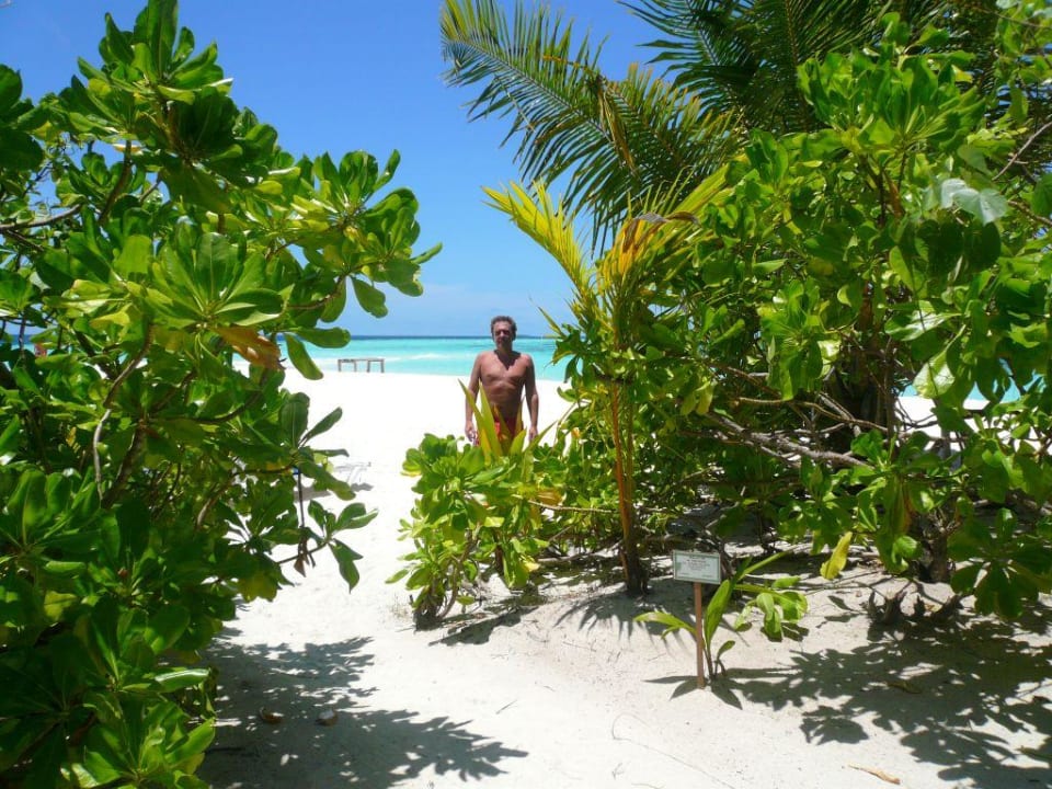 Einmaliger Ausblick Sun Siyam Vilu Reef