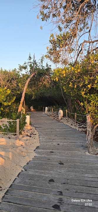 Strand Iberostar Waves Paraiso del Mar