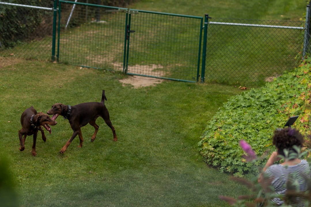 Gartenanlage Hotel Bergfried