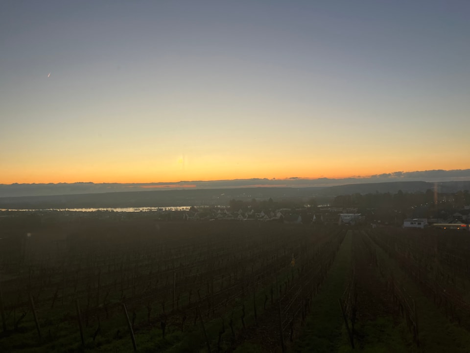 Ausblick Relais & Châteaux Hotel Burg Schwarzenstein
