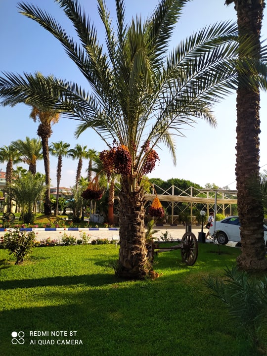 Gartenanlage Süral Saray Hotel
