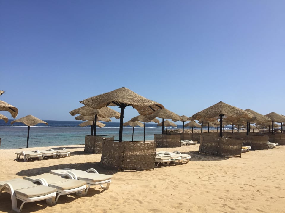 Unbedingt eine Liege reservieren;) Radisson Blu Resort, El Quseir