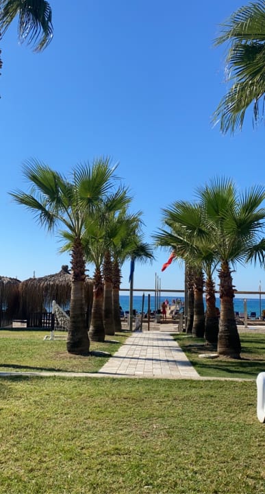 Gartenanlage TUI BLUE Palm Garden