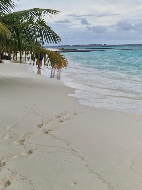 Strand Adaaran Select Meedhupparu Island Resort - Premium All Inclusive