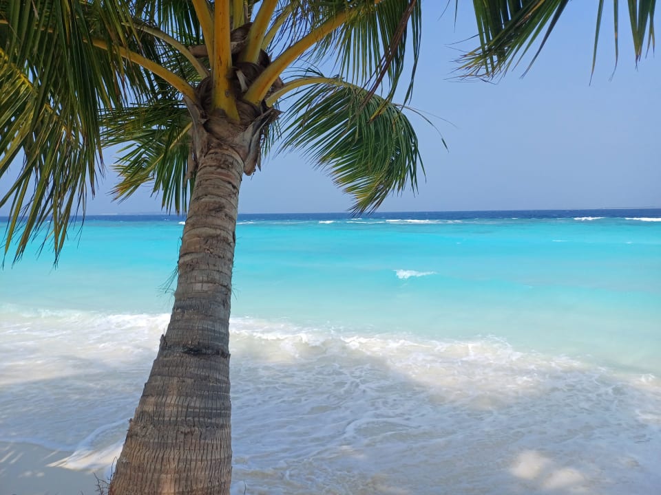 Strand Adaaran Select Meedhupparu Island Resort - Premium All Inclusive