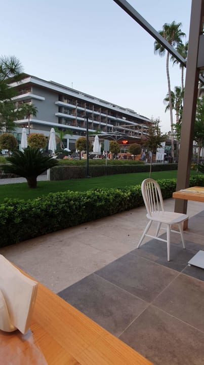 Gastro Acanthus Cennet Barut Collection