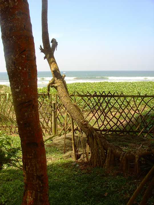 Blick auf das Meer Tangerine Beach Hotel