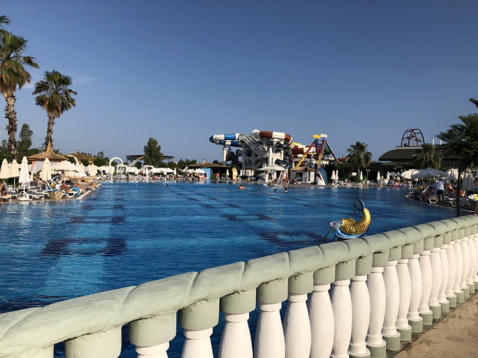 Pool Hotel Delphin Imperial