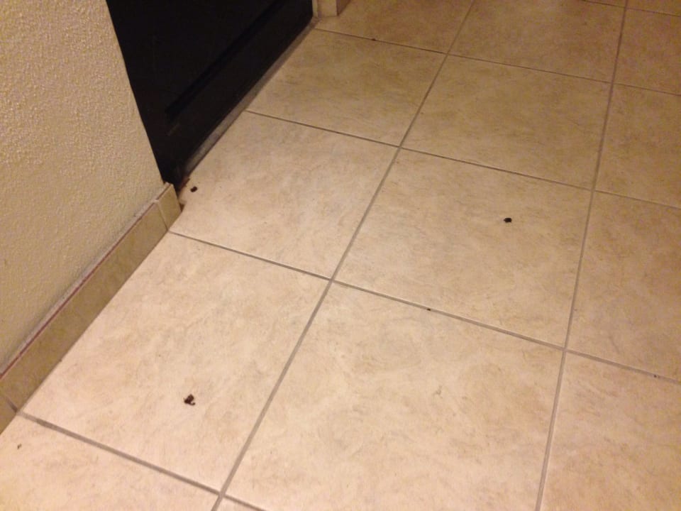 Käfer vor Zimmertür Casa Loma Motel on the Waterfront