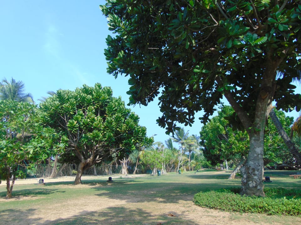 Gartenanlage Heritance Ahungalla