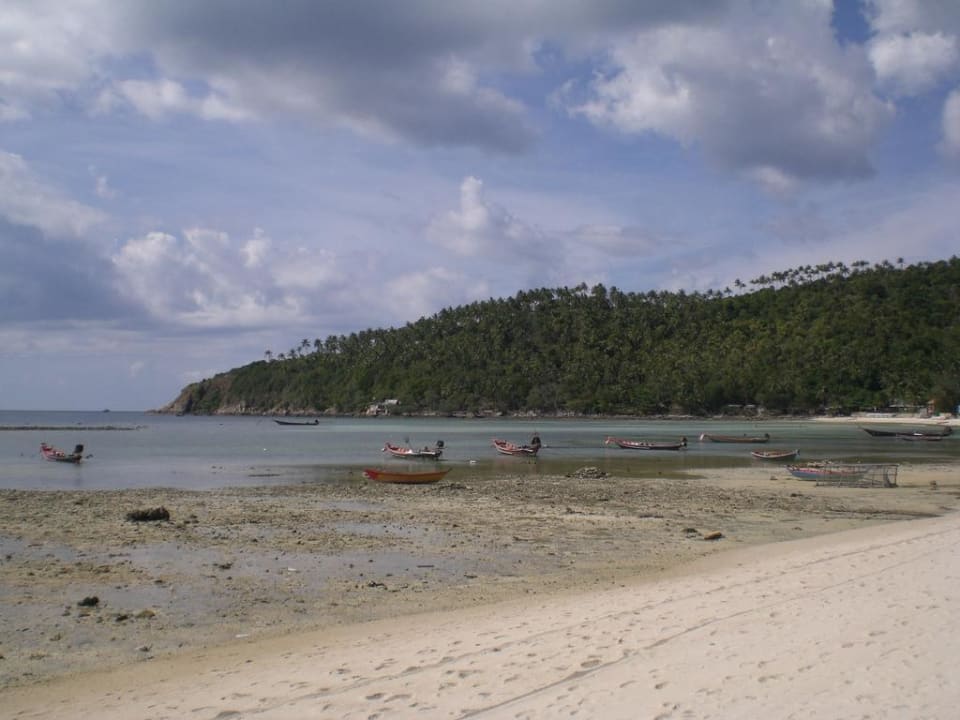 Strand bei Ebbe Hotel Salad Hut