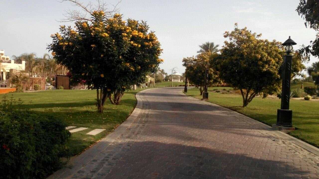 I like  Steigenberger Aqua Magic