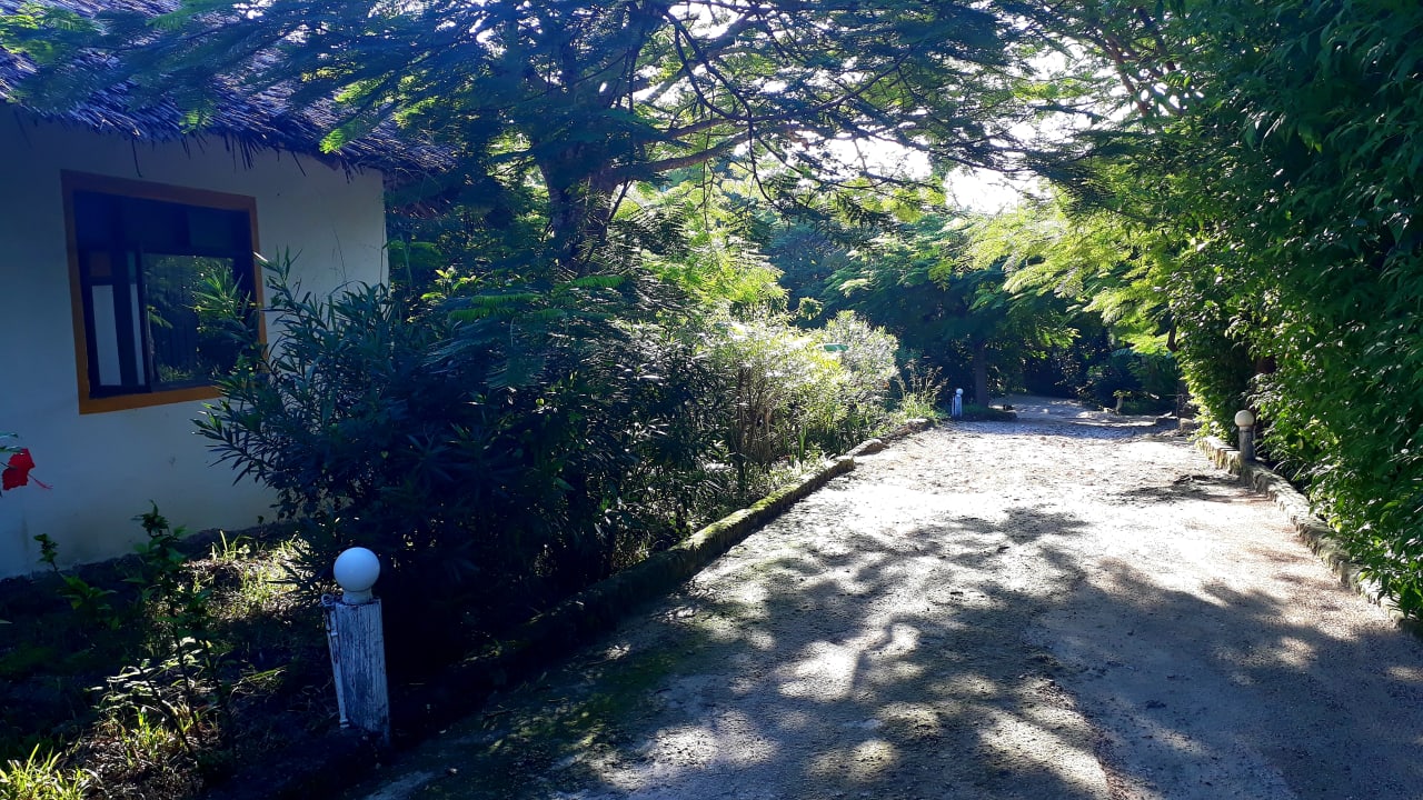 Gartenanlage Spice Island Hotel & Resort