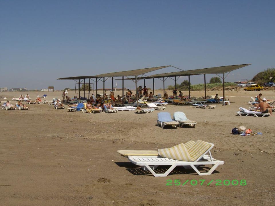 Liegen am Strand Hotel Club Life Kizilot