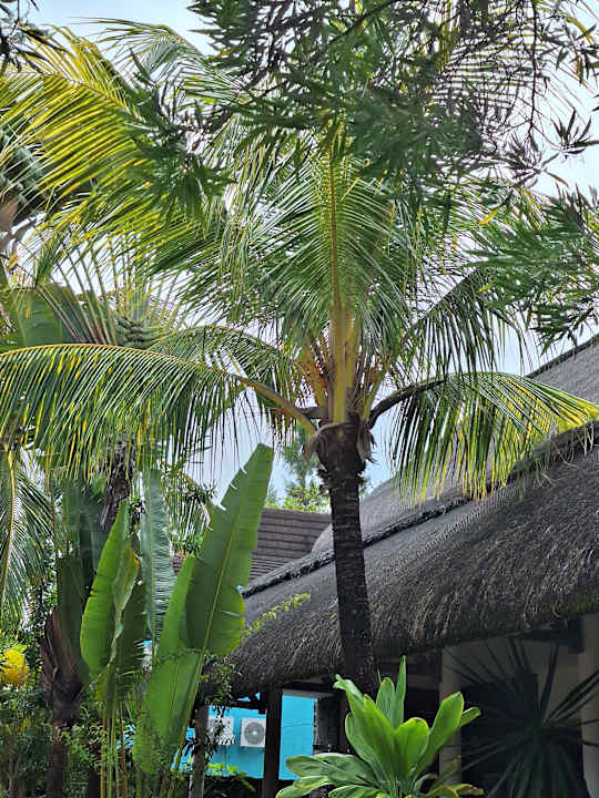 Gartenanlage Friday Attitude