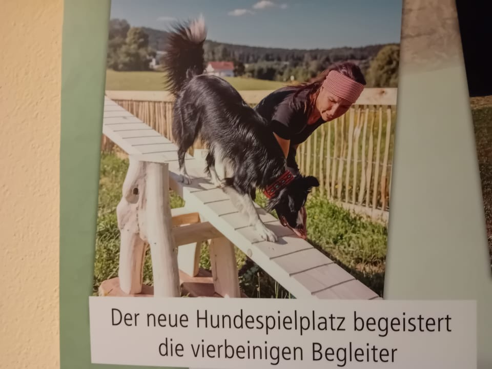 Sonstiges Spirit & SPA Hotel Birkenhof am Elfenhain