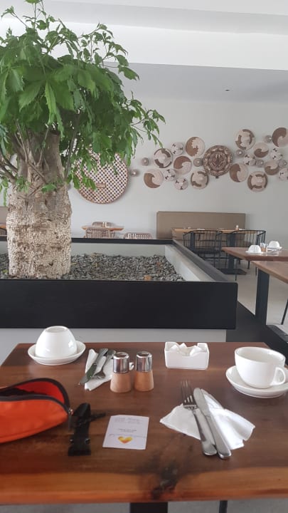 Gastro TUI BLUE Tamala